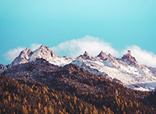 体育赛事-乐鱼体育登录：开启属于你的体育竞技新纪元