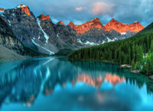 九游体育官方网站：打造极致体育体验的首选平台